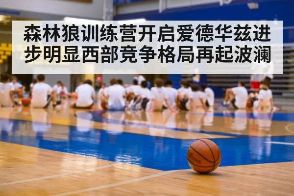 basketball training camp - kaiyun